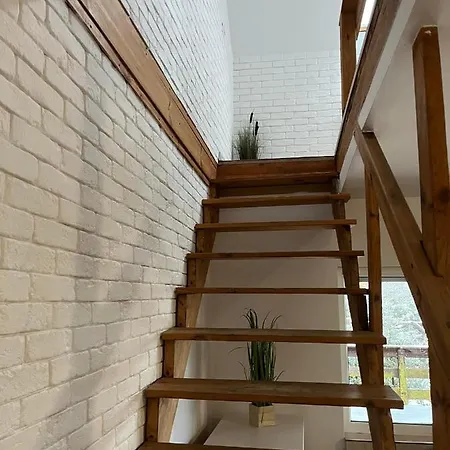 Dom Pod Swierkiem 別荘 *