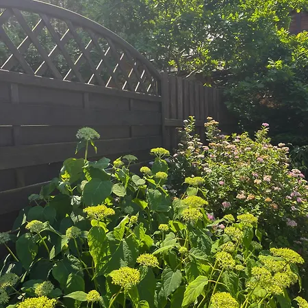 別荘 Dom Pod Swierkiem