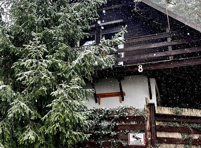 Feriehus Dom Pod Swierkiem *