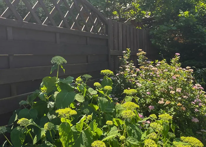 Feriehus Dom Pod Swierkiem