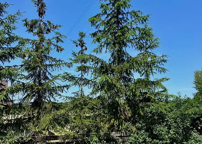 Dom Pod Swierkiem Feriehus Male Swornegacie